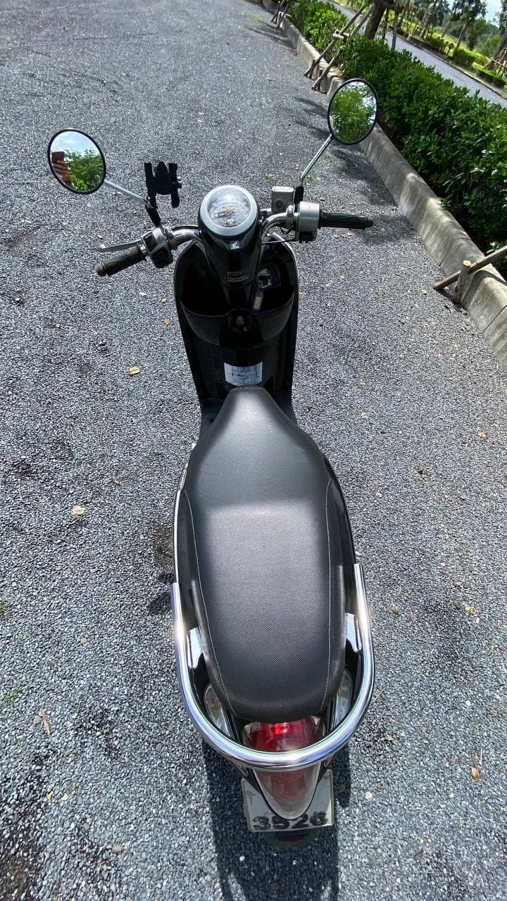 Honda Scoopy
